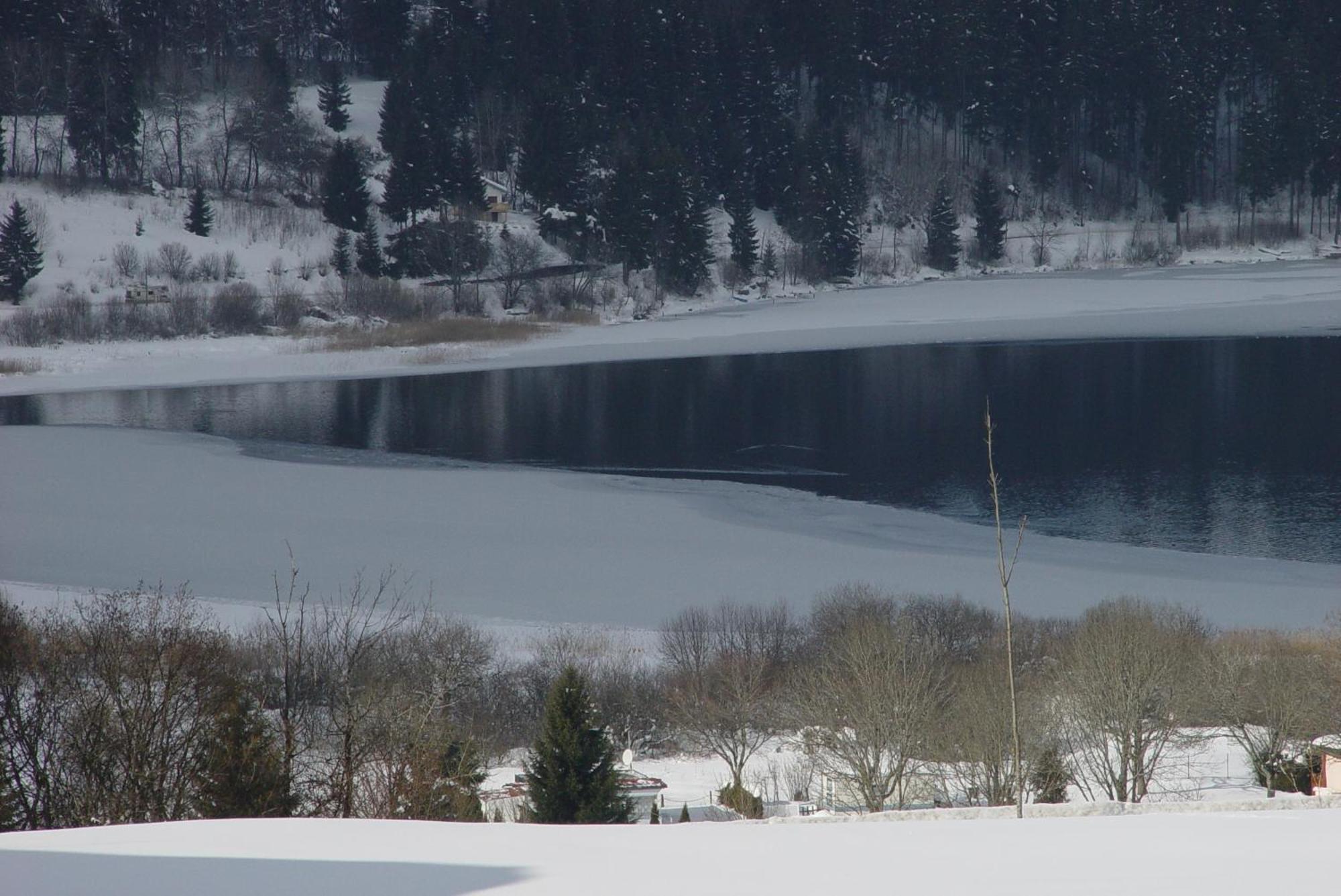 Etoile Des Neiges Piscine Spa Sauna Métabief Екстериор снимка